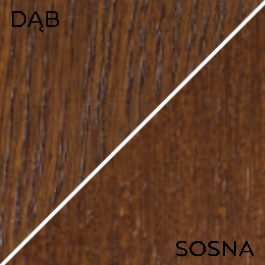 Dąb Kalifornia premium