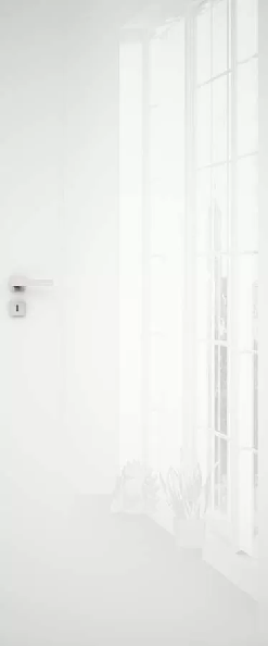 Drzwi wew. DRE SILIA 10