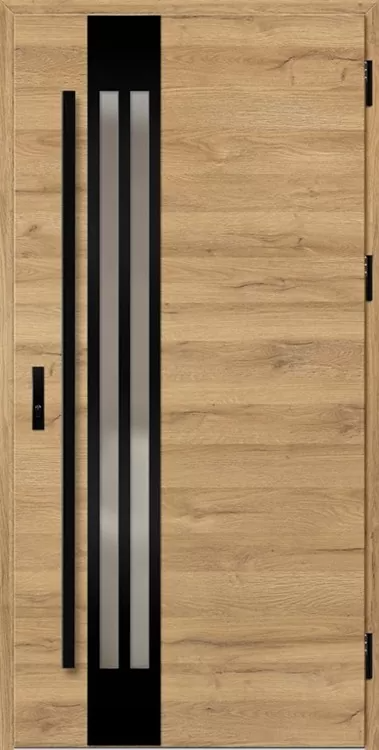 Drzwi zew. stalowe ERKADO - Leimen 1