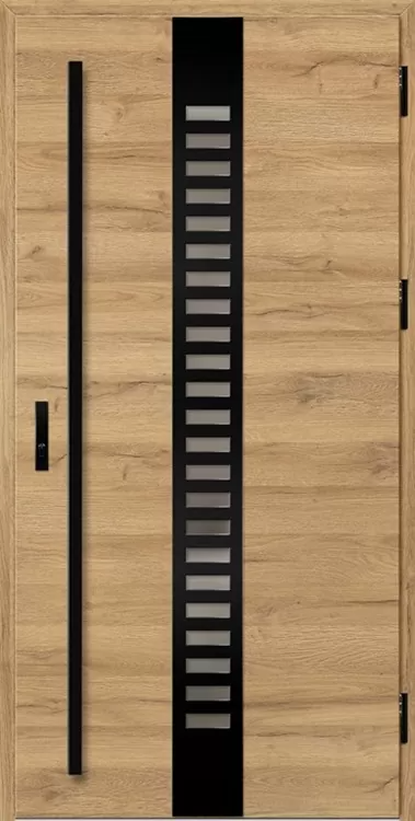 Drzwi zew. stalowe ERKADO - Selters 1