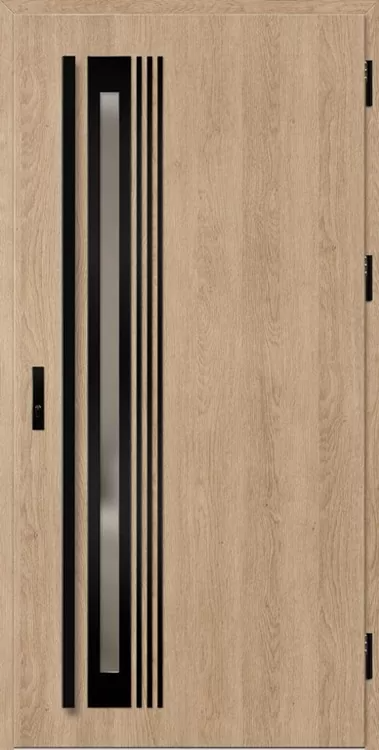 Drzwi zew. stalowe ERKADO - Trebur 4