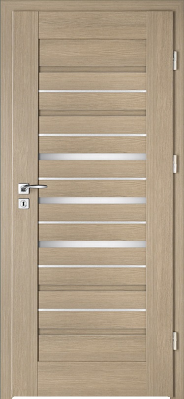 Drzwi wew. INTENSO LION STEEL W-2