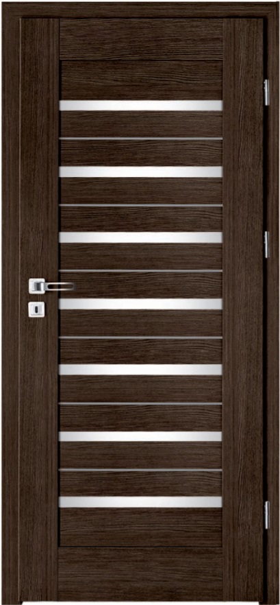 Drzwi wew. INTENSO LION STEEL W-5