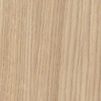 Okleina Naturalna Dąb Satin - Dąb Jasny