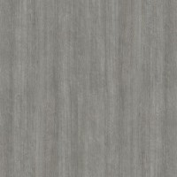 Portalamino - Dąb Srebrzysty