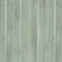 Portasynchro 3D - Akacja Srebrna