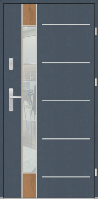 Drzwi zew. aluminiowe WIKĘD FUTURE INOX FI06D