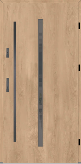 Drzwi zew. aluminiowe WIKĘD FUTURE INOX FI10B