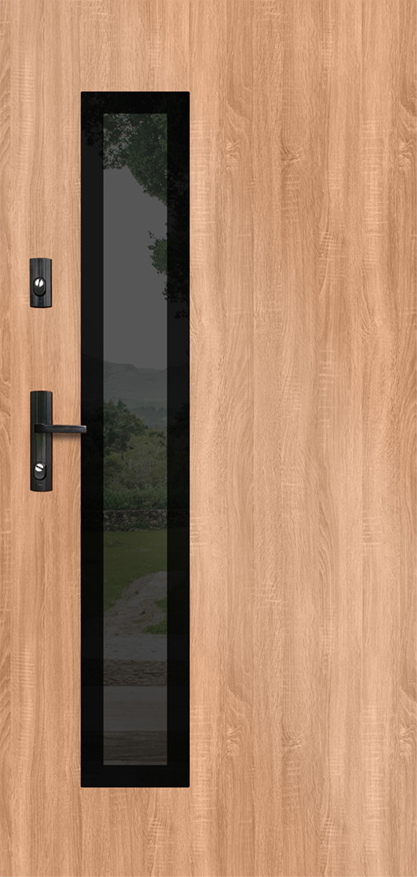 Drzwi zew. stalowe WIKĘD GLASS DESIGN GD01B