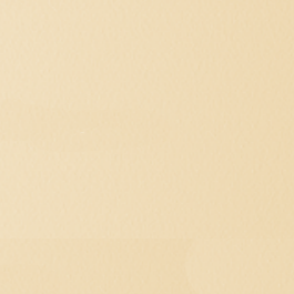 Baltic Sand (Top Trends Color)