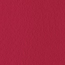 Raspberry (Top Trends Color)