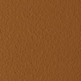 Salty Caramel (Top Trends Color)