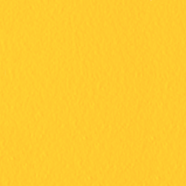 Sunflower (Top Trends Color)