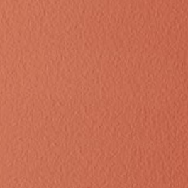 Sweet Apricot (Top Trends Color)