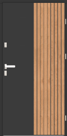 Drzwi zew. stalowe WIKĘD MasterLine ML1