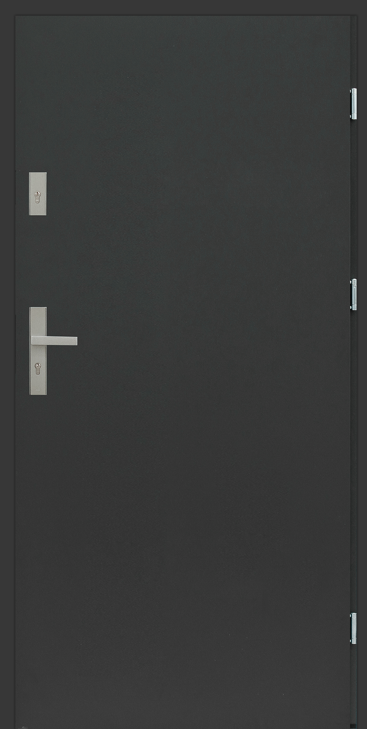 Czarna drzwi z metalowym uchwytem i zamkiem, bez widocznych okien czy ozdób.