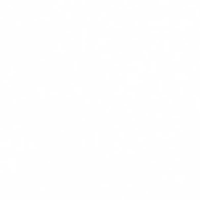 POŁYSK STANDARD - bianco