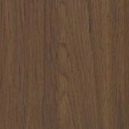Dąb Czekoladowy - Drewnopodobne