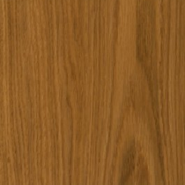 Dąb Fląder - 05 Złoty Dąb