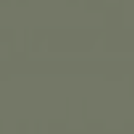 Gładki RAL - Zielony Khaki RAL 6003