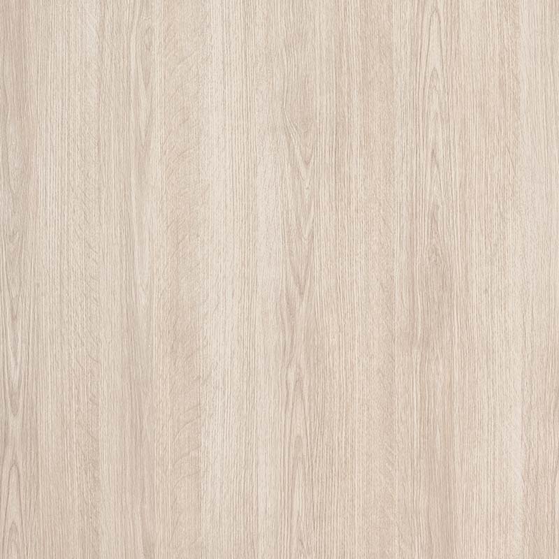 CELL - Dąb piaskowy