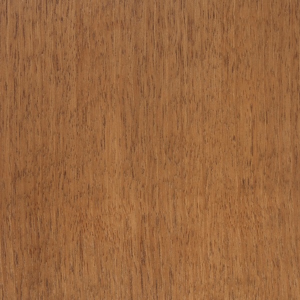 Cappucino- fornirowane B (421)