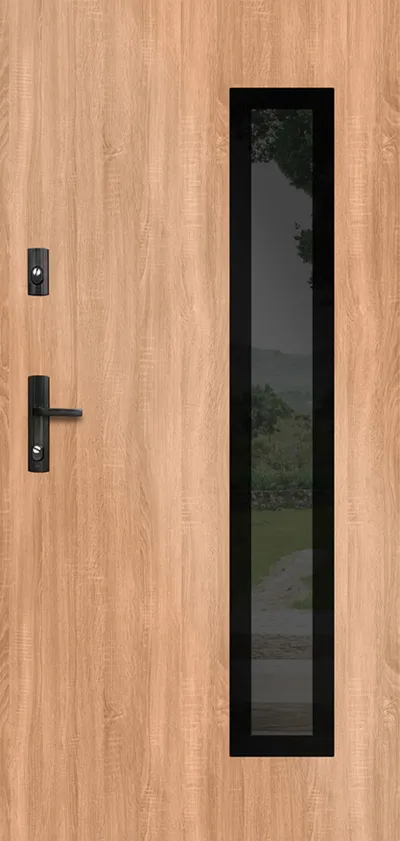 Drzwi zew. stalowe WIKĘD GLASS DESIGN GD01C