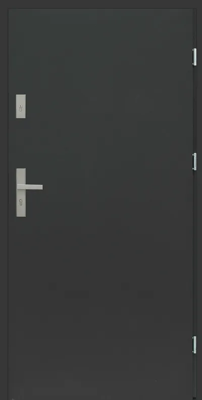 Czarna drzwi z metalowym uchwytem i zamkiem, bez widocznych okien czy ozdób.