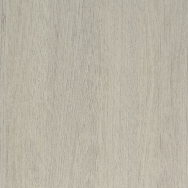 Dąb Salinas- ECO TOP (141)