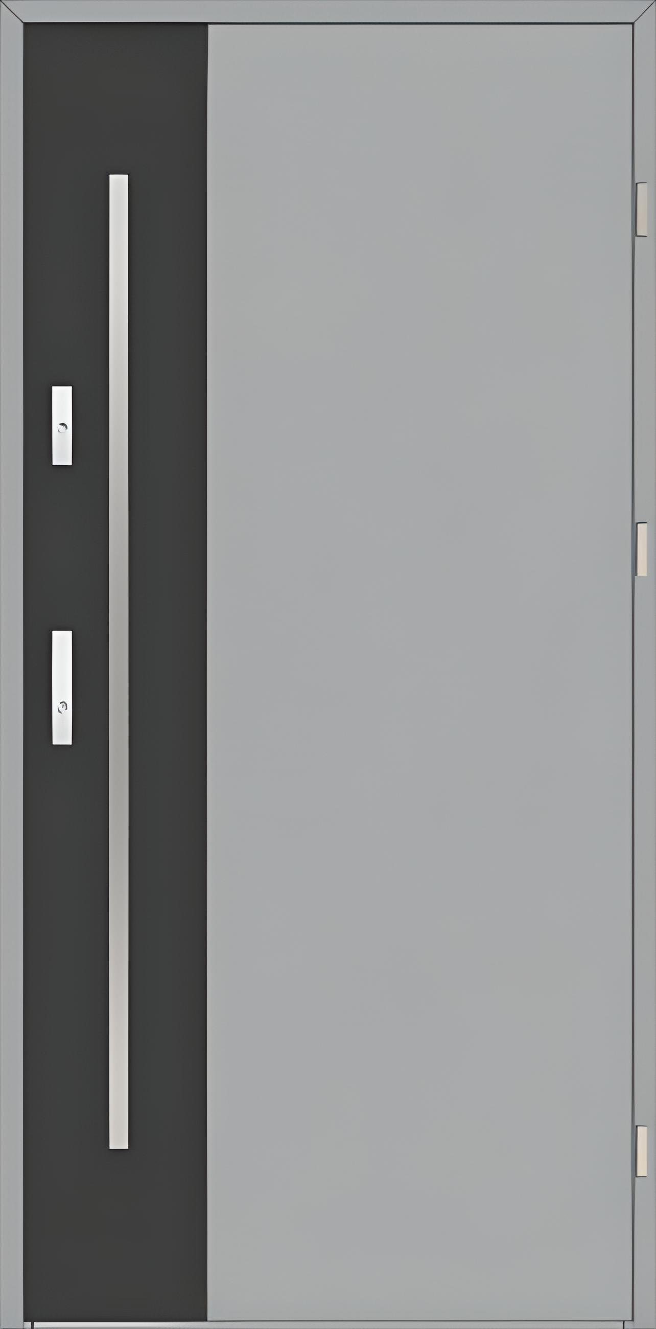 Drzwi zew. aluminiowe WIKĘD FUTURE INOX FI01A