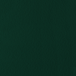 Forest Green (Top Trends Color 2026)