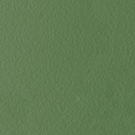 Sage (Top Trends Color 2026)