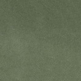 Moss (Crystal Sky Color 2026)