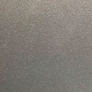 Silver Grey (Crystal Sky Color 2026)