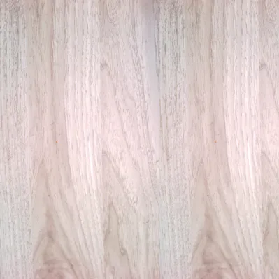 3D - Wiąz perłowy